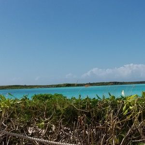 Meet your Posher, Mari